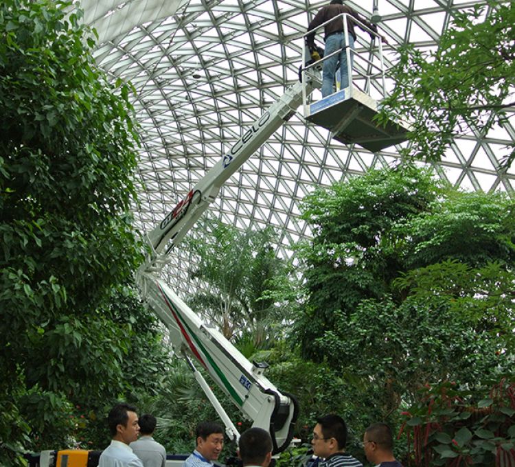 上海辰山植物園-Spyder DT24